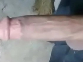 Asian big cock!! asian teen blissful sex videos